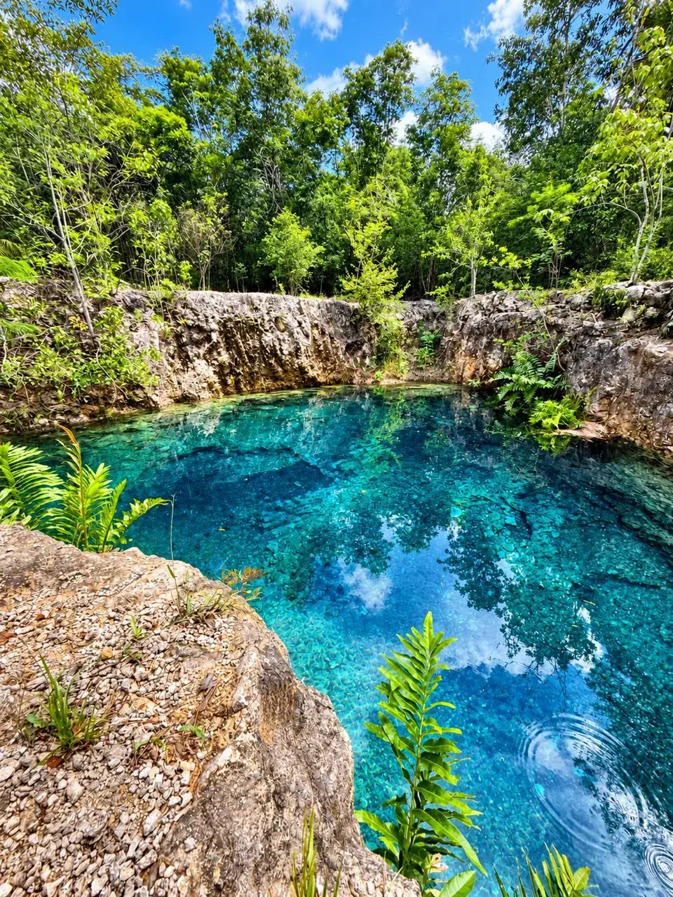 LUUM cenote