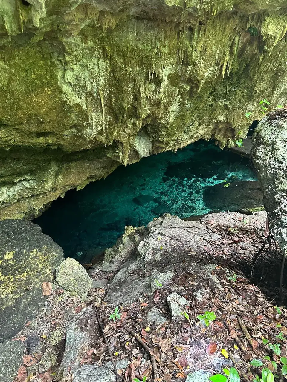 LUUM cenote