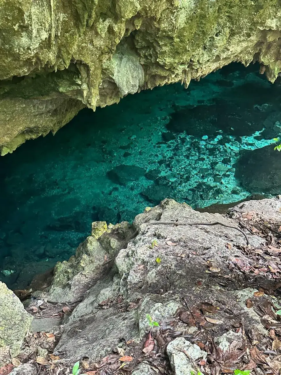 LUUM cenote